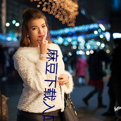 麻豆(豆)下载入口
