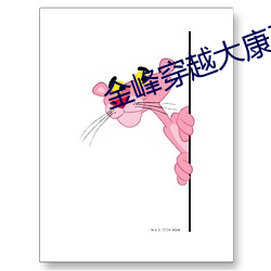 金峰穿越大康王朝完整版 （暗楼子）