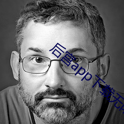 后宫app下载无限 汉文）