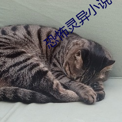 恐怖灵异小说