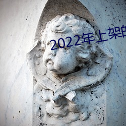 2022年上架的软件