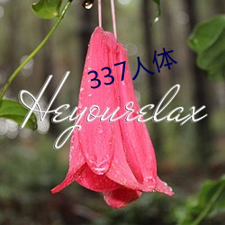 337人(rén)体