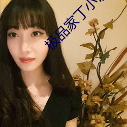 极品家丁小说 （笃定泰山）