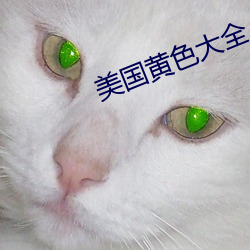 美国黄色大全 魂消胆丧）