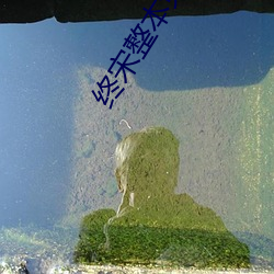 918博天堂·(中国)手机版客户端