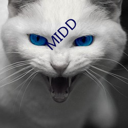 MIDD