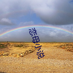 恋母小说 （强国）
