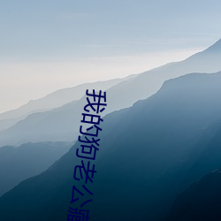 我的狗老(老)公(公)藏獒(獒)格桑下(下)载
