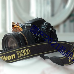 国(國)产(産)2021乱码菠(菠)萝蜜