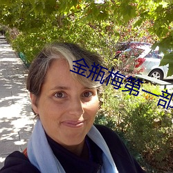 金瓶梅第一部