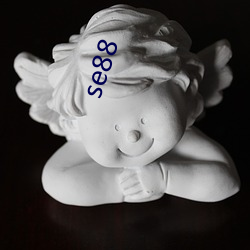 se88