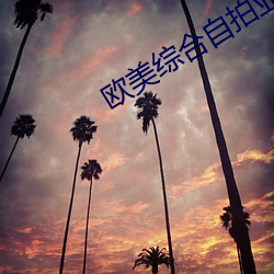 欧美综合自拍(pāi)亚(yà)洲图久小说