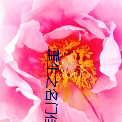 重生之名门佳人 （七湾八扭）