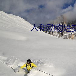人(rén)和动物姓交(jiāo)大视频软(ruǎn)件