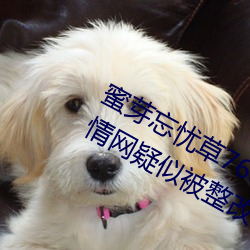 蜜芽忘忧草768. mon.二区老狼大豆行情网疑似被整改?同时完