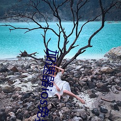 加速(sù)器ios免费