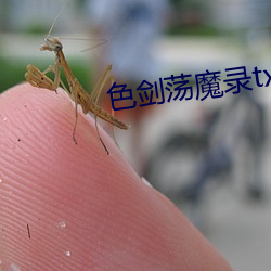 918博天堂·(中国)手机版客户端