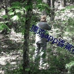 搞鸡app香蕉(蕉)视频