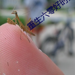 重生六零好时光