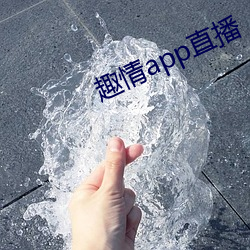 趣情app直(直)播