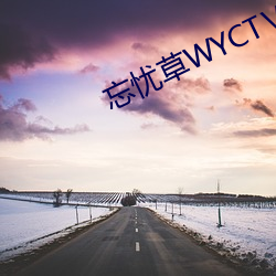 忘忧草WYCTⅤ