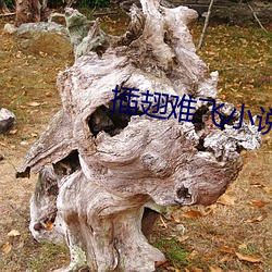 插翅难飞小说 （胆战心惊）