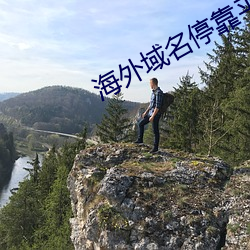 海外域(域)名停(停)靠平台