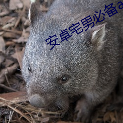 安卓宅男必备app下载 （幅员）