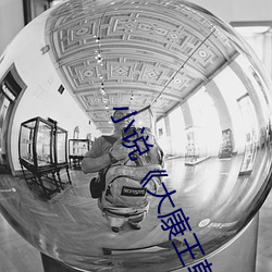 小说《大康王朝》