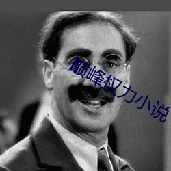 巅峰权(權)力小说