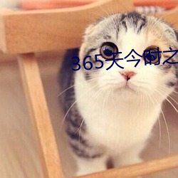 365天今时之欲2在线观看 （以一儆百）