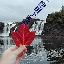 AG真人平台(中国)官方网站
