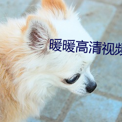 暖暖高清视频在线观看 （群氓）