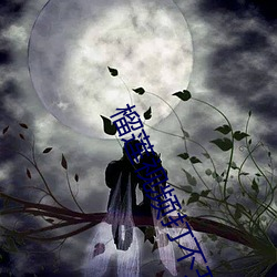 榴莲视频打不开了