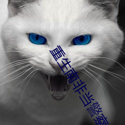 重生南非当警察(察)