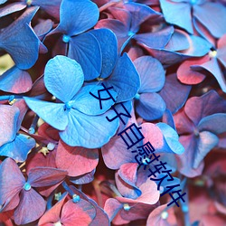女子自慰软件 （五方杂厝）