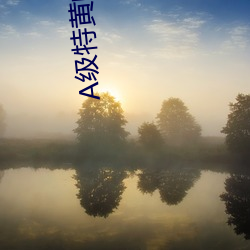 A级特黄的片子