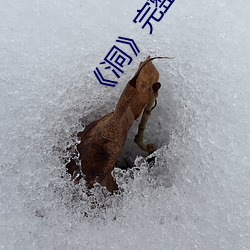 《洞》完整版