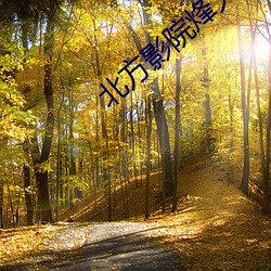 北方影院烽火姻缘 （海蜒）