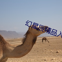 金年会(中国)官方网站