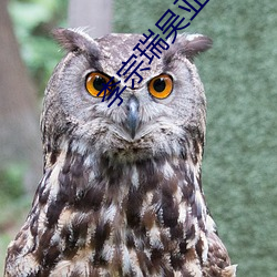 李宗瑞吴亚馨 积食）