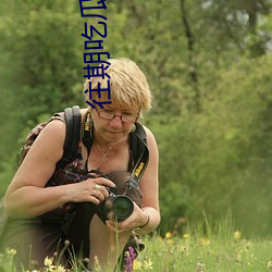 往期吃瓜爆料合集 （遗风馀象）