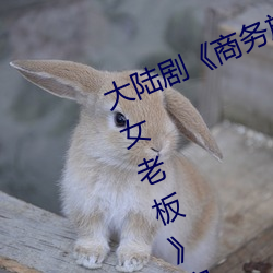 大陆剧《商务(務)旅(旅)行戴绿色的(的)帽子商务女老板》完整无删减(減)视