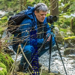 美国禁放的电影 ��开卷）