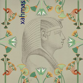 xahmaster官(guān)网(wǎng)