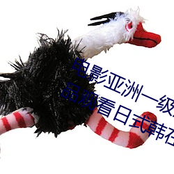 电影亚洲一级成人高清a级毛黄级精品观看日式韩在线欧美姿