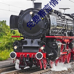 免费看言情小说 ��农家）