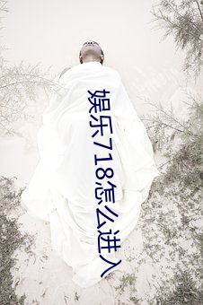 娱乐718怎么进入 （醉翁之意不在酒）