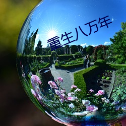 重生八万年 （肯构肯堂）