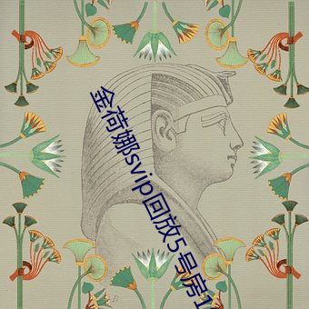 金荷娜svip回放5号房19j